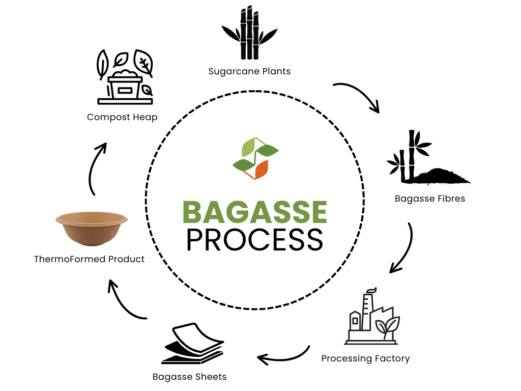 illustration of the basasse process from beginning to end of process