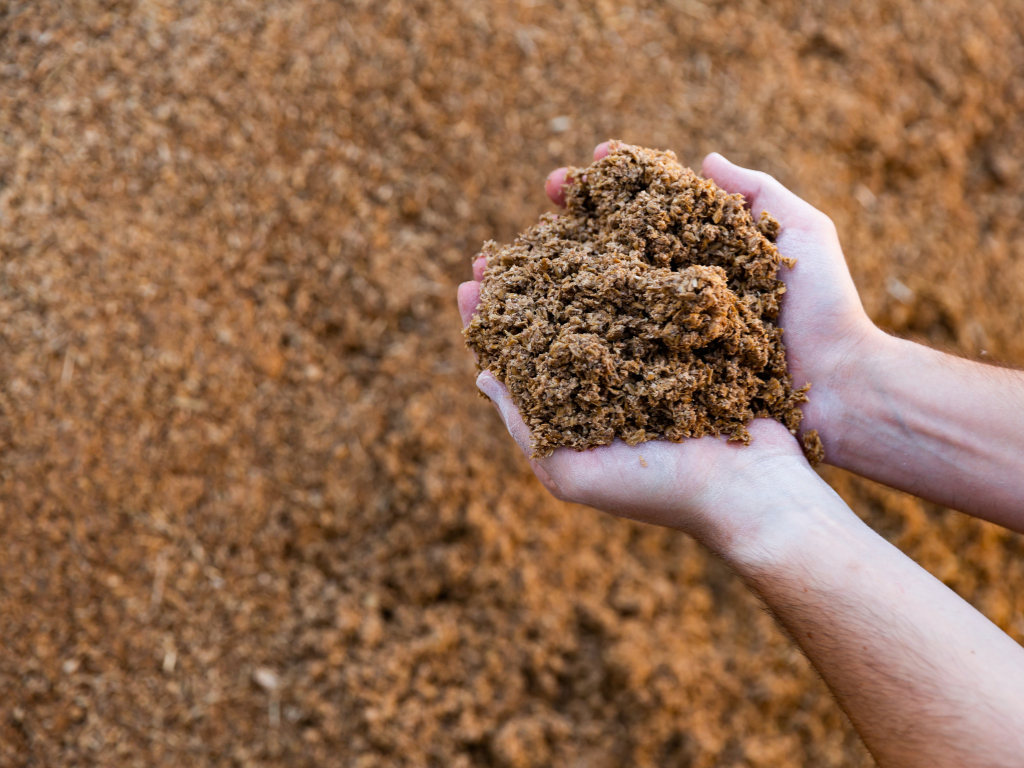 two hand holding bagasse with the product in the background