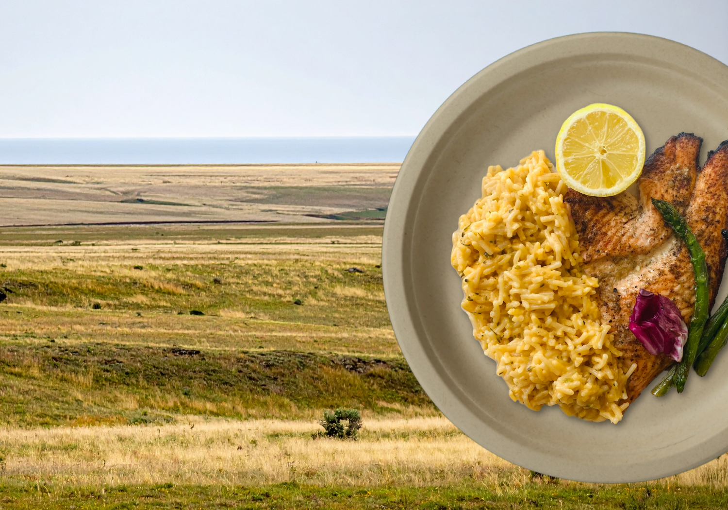 image of plains in the background and a compostable plate on top with food