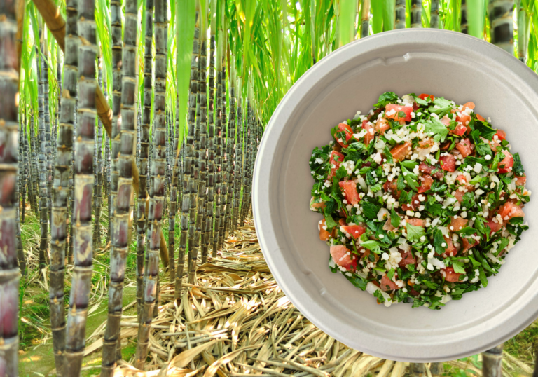 Image of sugarcane in background with sustainable bowl of quinoa and veggies on tio